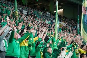 中超官方：第17轮现场球迷244693人次，创单轮中超上座第三纪录